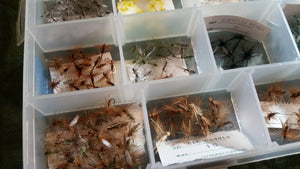 Plano fly box with collection of flies (dry flies)