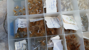 Plano fly box full of flies (dry flies)