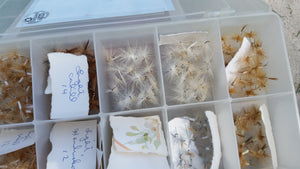 Plano fly box full of flies (dry flies)