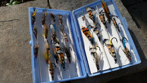 Plastic fly box with classic salmon patterns