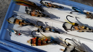 Plastic fly box with classic salmon patterns
