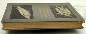 Malloch, PD - Life-History and Habits of the Salmon, Sea-Trout, Trout, and other Freshwater Fish