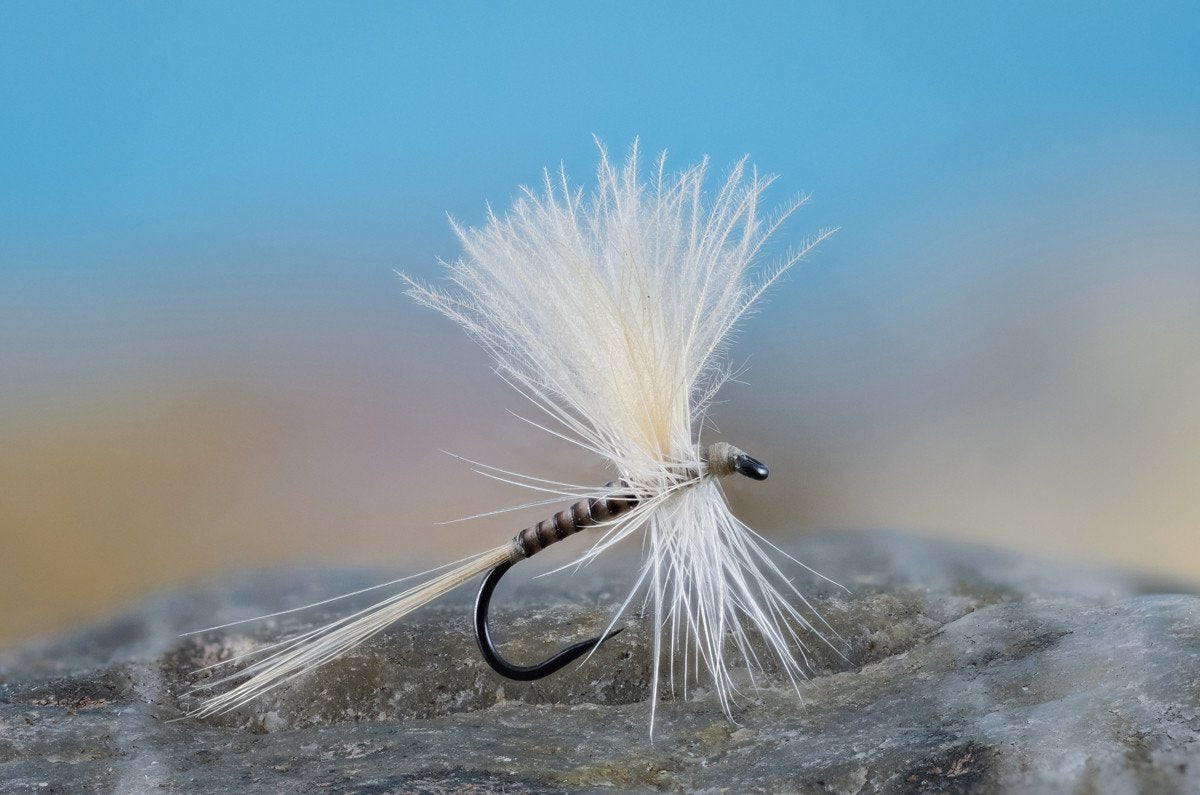 Flies for Rivers - CDC Fanwing Quill (Cahill - Size 16) 