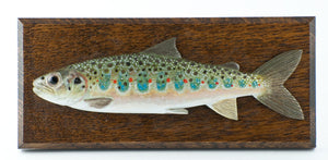 Brookes, Roger - Salmon Parr Carving