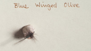 Elsie Darbee Framed Flies 