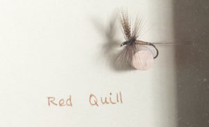 Elsie Darbee Framed Flies