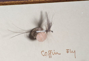 Elsie Darbee Framed Flies