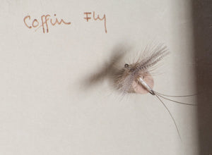 Elsie Darbee Framed Flies