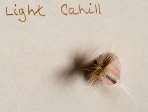 Elsie Darbee Framed Flies