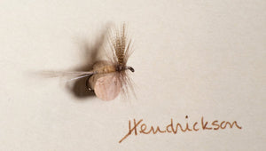 Elsie Darbee Framed Flies