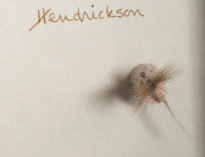 Elsie Darbee Framed Flies