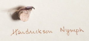 Elsie Darbee Framed Flies