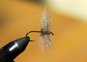 Flies for Rivers - Skating Spider