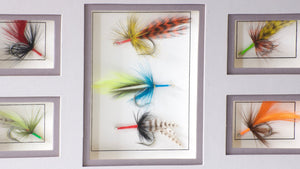 Albright, Jimmie - Shadowbox Framed Flies
