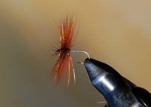 Flies for Rivers - Skating Spider