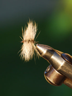 Flies for Rivers - Skating Spider