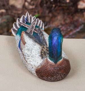 Jonas, Joe - Mallard Drake Duck Carving