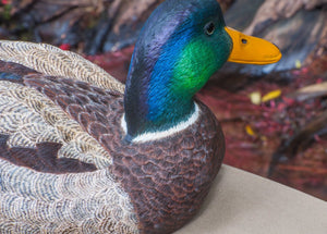 Jonas, Joe - Mallard Drake Duck Carving