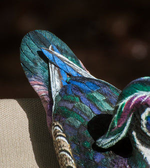 Jonas, Joe - Wood Drake Duck Carving