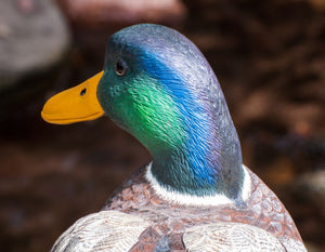 Jonas, Joe - Mallard Drake Duck Carving