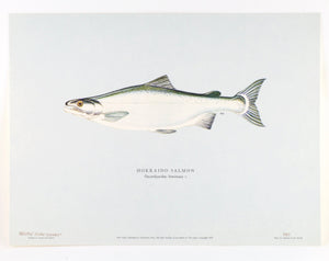 Schwiebert, Ernest - "Salmon of the World"