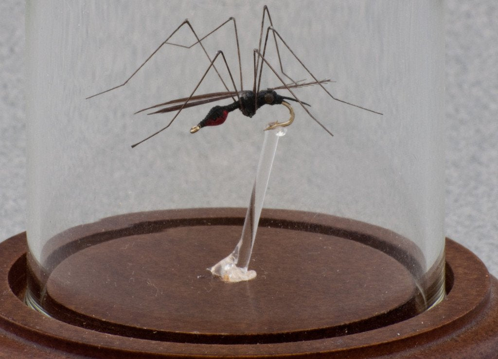 Brad Wilson Domed Fly - Mosquito