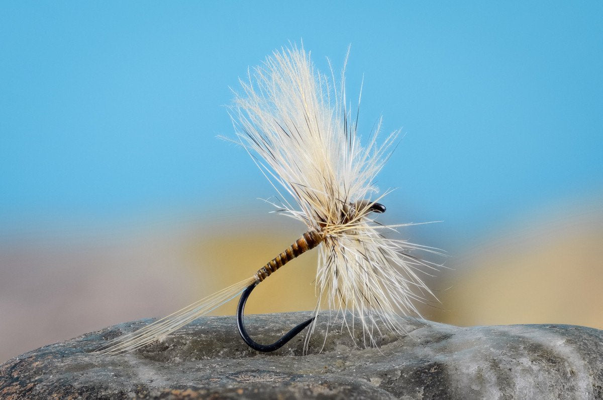 Flies for Rivers - CDC Fanwing Quill (Grey Fox - Size 10) 