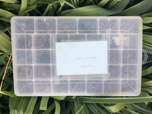 Plano fly box full of flies (nymphs and soft hackles)