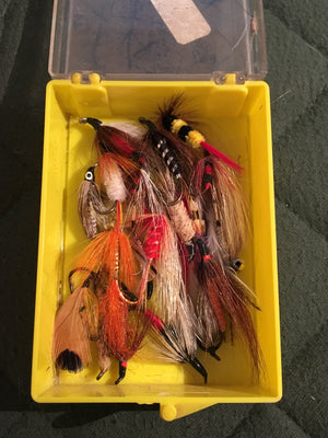 Rosborough, Polly -- Collection of Flies