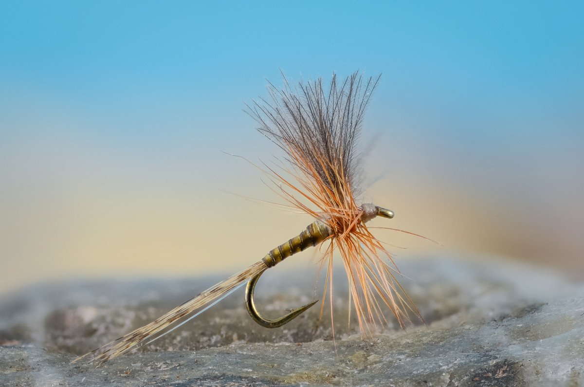 Flies for Rivers - CDC Fanwing Quill (Iron Blue - Size 18)