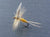 Dette Fly - Dorothea (Sulphur) 