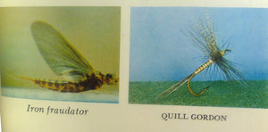 Art Flick Nymphs, Materials & Ephemera