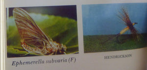 Art Flick Nymphs, Materials & Ephemera