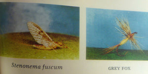 Art Flick Nymphs, Materials & Ephemera