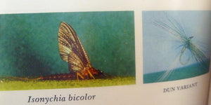 Art Flick Nymphs, Materials & Ephemera