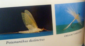 Art Flick Nymphs, Materials & Ephemera