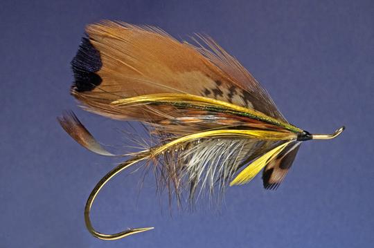 Ken Iwamasa Salmon Fly - Pheasant Fly 3/0