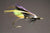 Ken Iwamasa Salmon Fly - Purple Black Salmon Fly 1.5