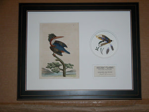Paul Rossman Framed Fly - Azure Flash