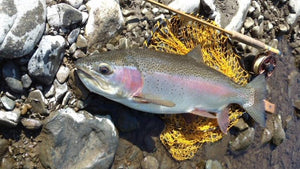 Saga Rod 7'6 4wt hollow-built