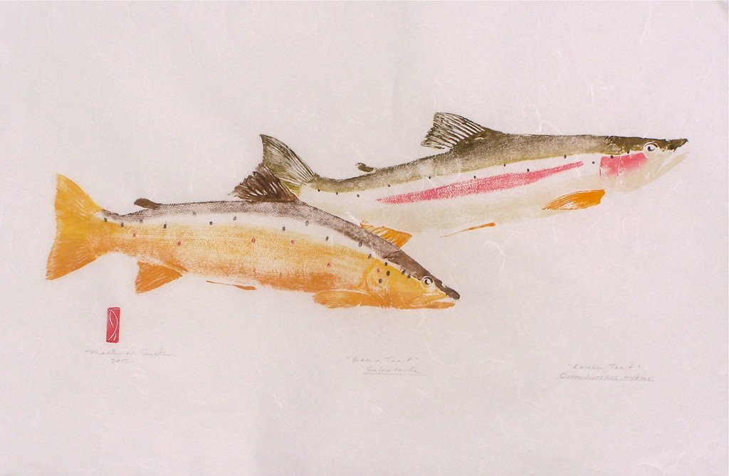Mark Smith Fish Art - "Rainbow and Brown Trout"