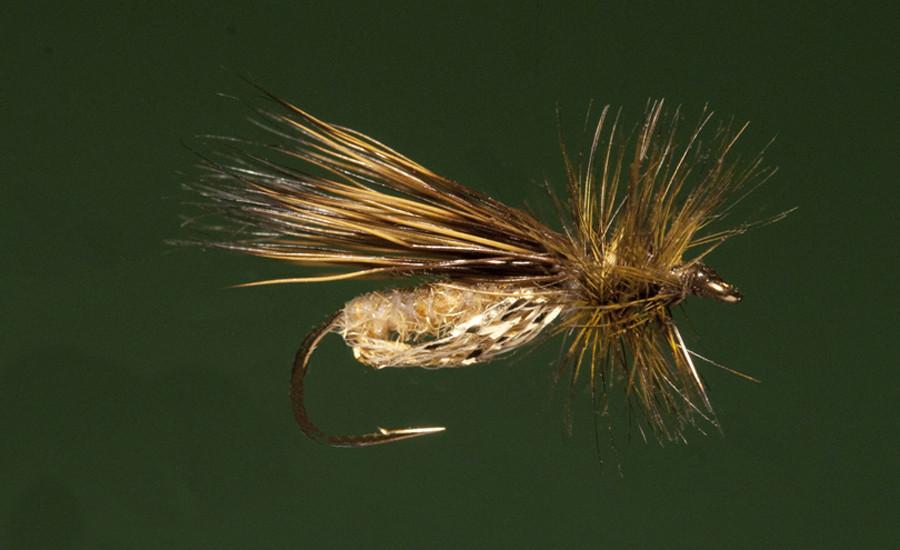 Ken Iwamasa - #12 Glittering Caddis 