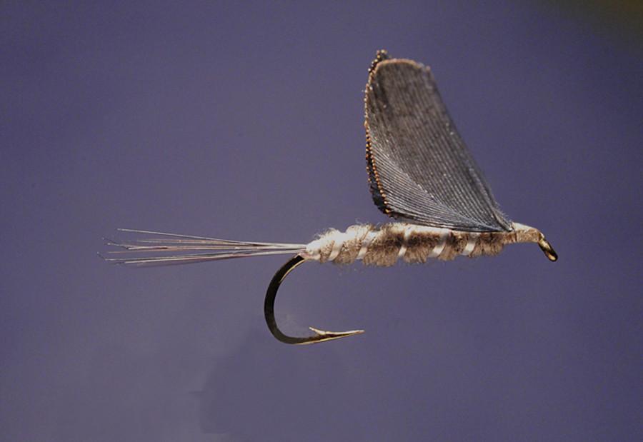 Ken Iwamasa - #12 No Hackle Gray Drake