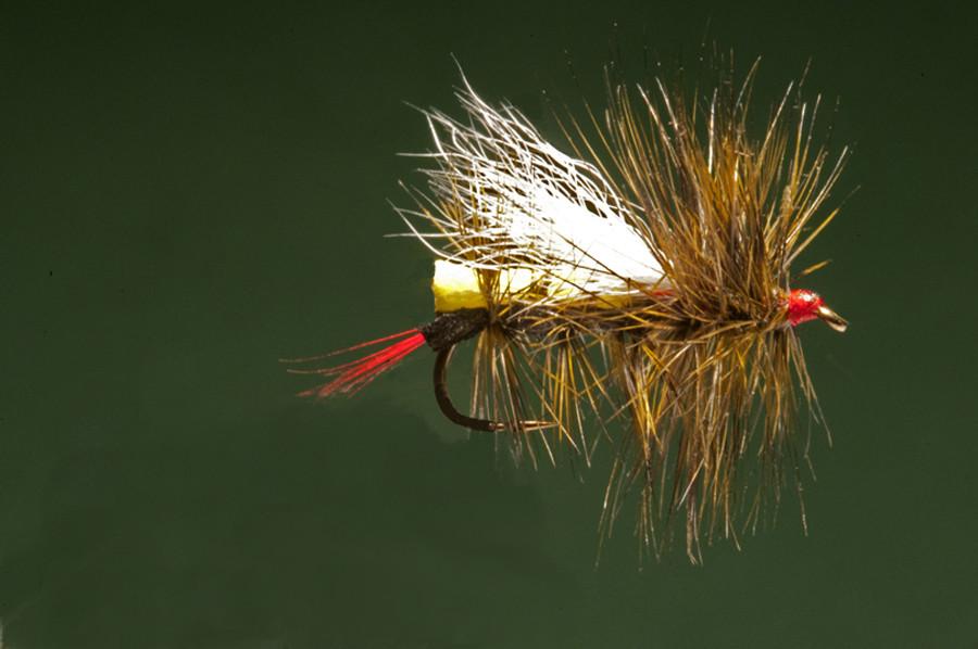 Ken Iwamasa - #14 JAW