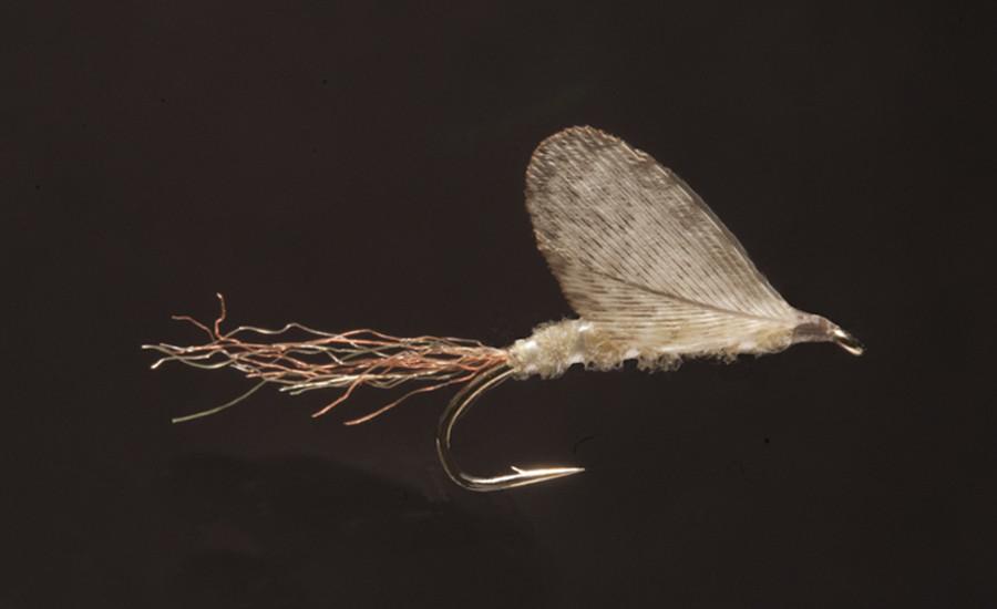 Ken Iwamasa - #14 Light Cahill No Hackle