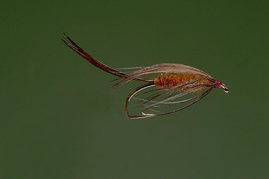 Ken Iwamasa - #14 Red Drake Soft Hackle 