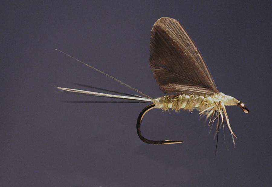 Ken Iwamasa - #14 Standard Dun BWO 