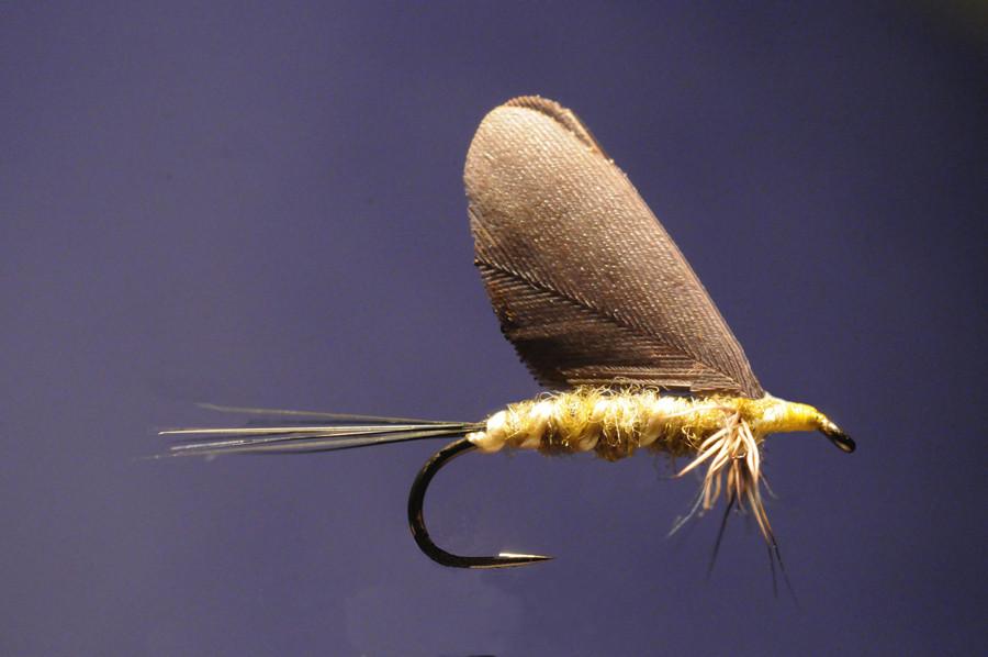 Ken Iwamasa - #14 BWO Standard Dun