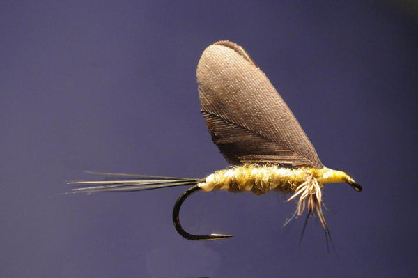 14_bwo_standard_dun_8a9b9d52-