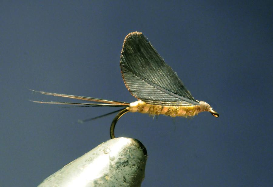 Ken Iwamasa - #16 No Hackle BWO 